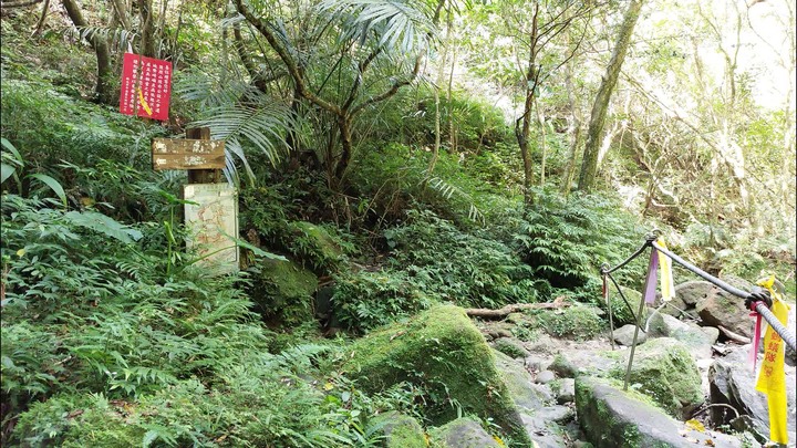 [樂山童盟] [新北平溪] 中央尖-臭頭山-東勢格越嶺步道