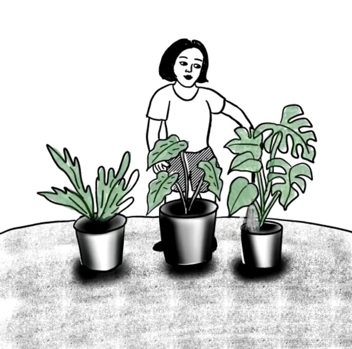 有人有收藏NFT的嗎？