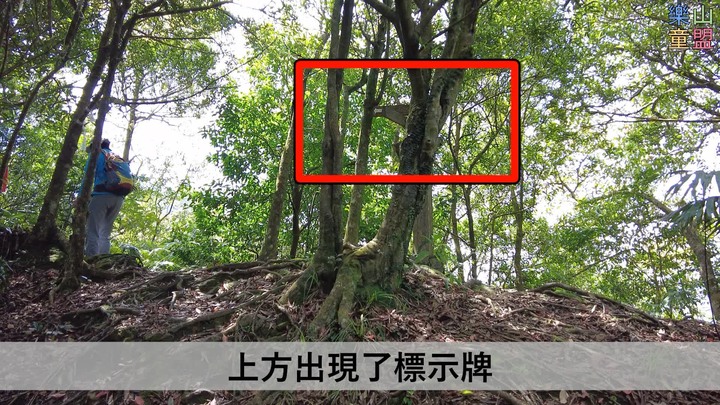 [樂山童盟] [新北平溪] 中央尖-臭頭山-東勢格越嶺步道