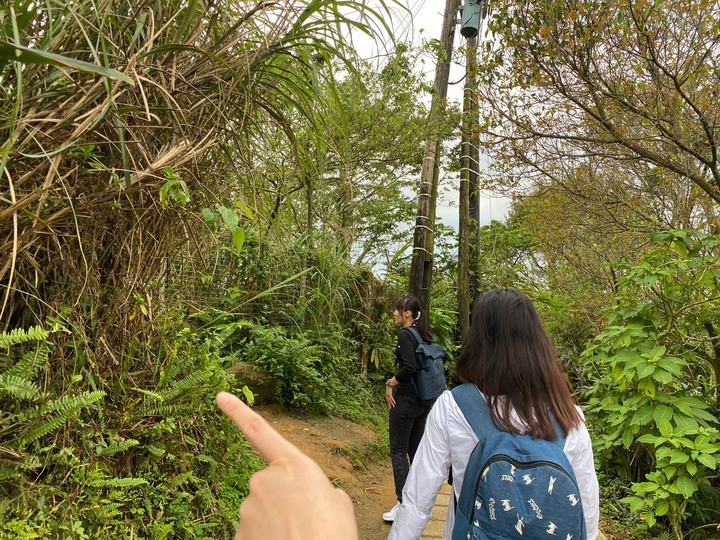台北南港|南港山.親民好走的小百岳,飽覽101跟台北市區風景