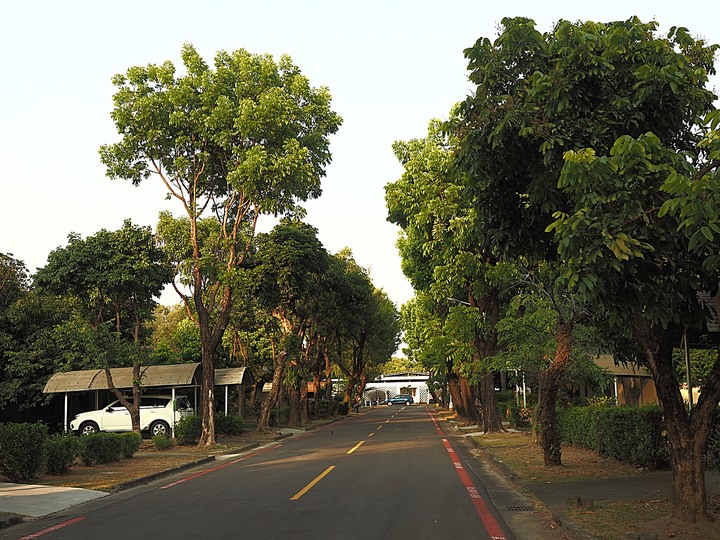 楠梓區 中油宏南宿舍群 — 濃濃歐風小鎮風格，自然與歷史建築混合呈現之世外桃源