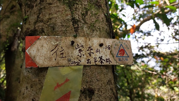 [樂山童盟] [新北平溪] 中央尖-臭頭山-東勢格越嶺步道