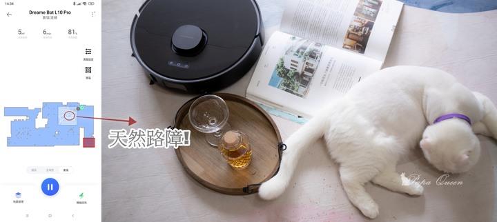 【開箱】追覓dreame L10 Pro 3D避障 掃拖機器人 -超強悍的避障功能！