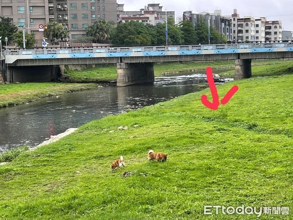 跟著汪姐姐奔跑!柴弟被帶進溝裡「頂滿臉泥巴」氣得奧嘟嘟