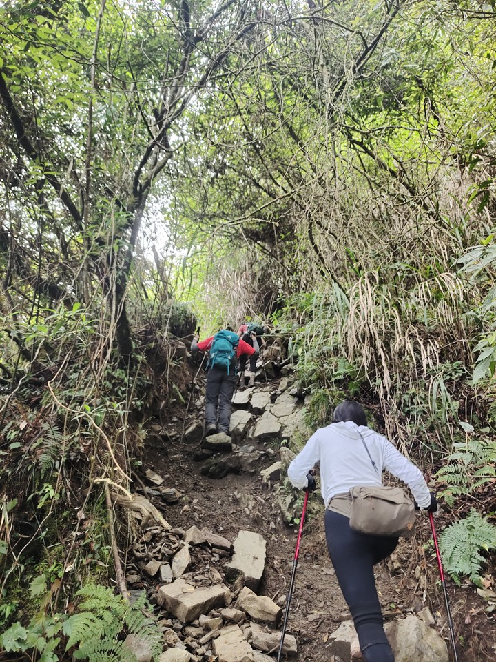 單攻西巒大山剩1.8K撤退