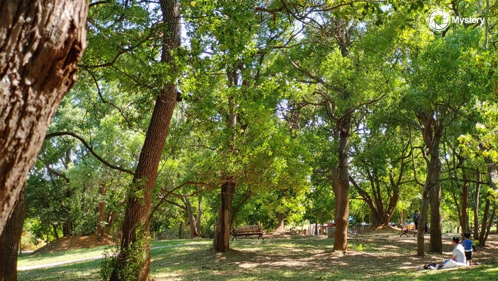 New 大雅【臻揚 科森苑】雙公園圍繞 中部科學園區置產增值宅 類空拍分享