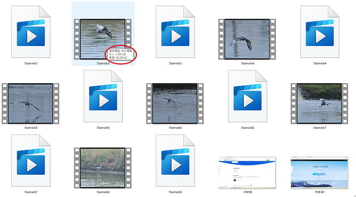 Z9的120fps880張林邊崎峰暗色型小白鷺，經Denoise AI降躁，以4K格式輸出影片。