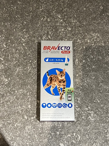 我家貓主子 愛用品分享