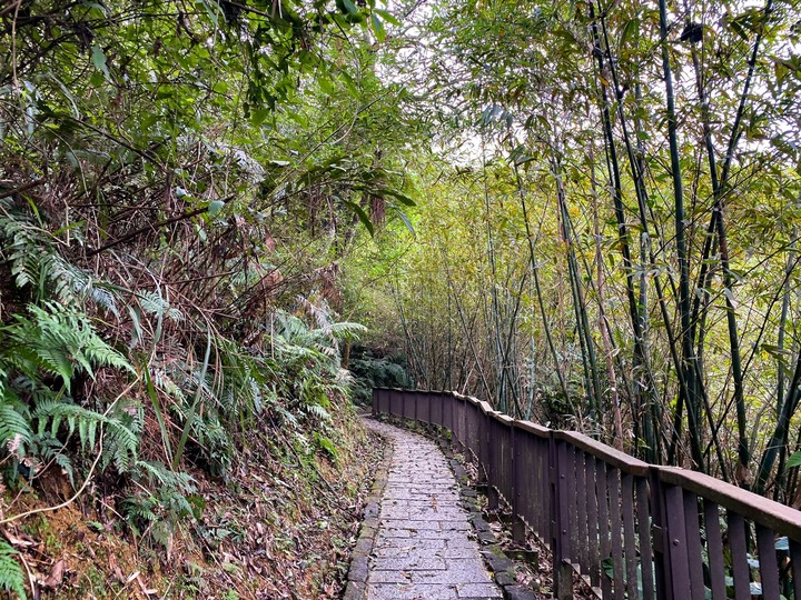 台北南港|南港山.親民好走的小百岳,飽覽101跟台北市區風景