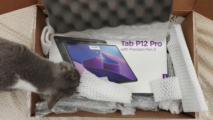 Lenovo Tab P12 Pro - 你的全新家庭娛樂/智能家庭控制中樞及提升工作創造力的好夥伴 By 甜的蛤仔肉