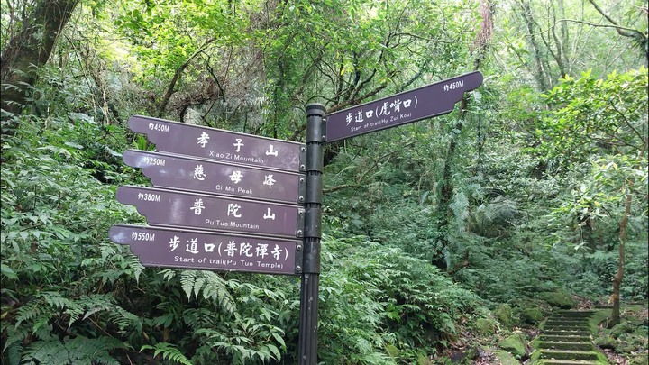 [樂山童盟] [新北平溪] 中央尖-臭頭山-東勢格越嶺步道