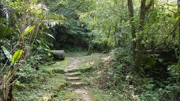 [樂山童盟] [新北平溪] 中央尖-臭頭山-東勢格越嶺步道