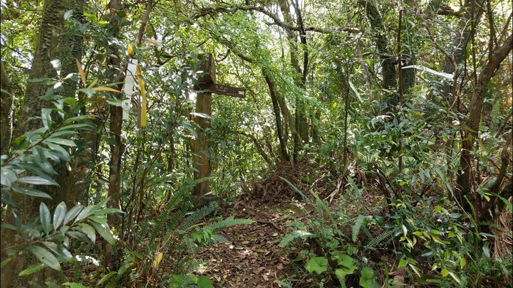 [樂山童盟] [新北平溪] 中央尖-臭頭山-東勢格越嶺步道