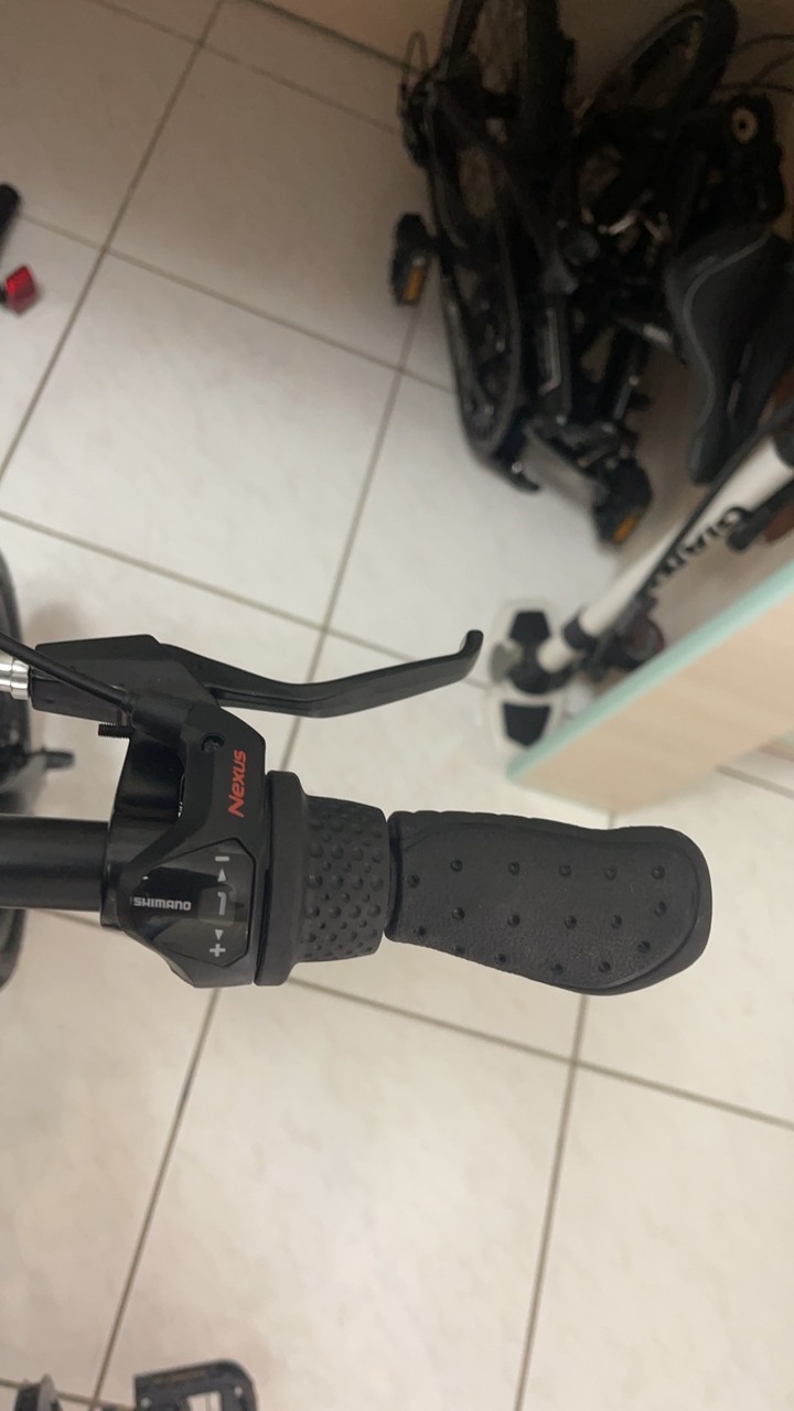 新歡SDPRO shimano 內變三速 16吋 鋁合金折疊車,再會了MINT ....