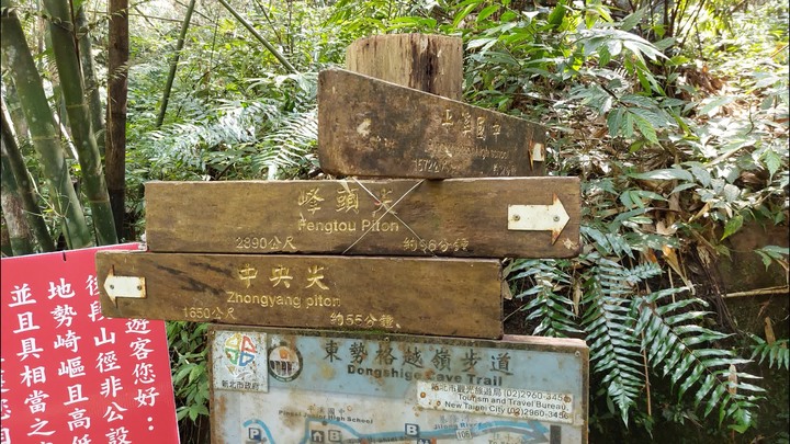 [樂山童盟] [新北平溪] 中央尖-臭頭山-東勢格越嶺步道