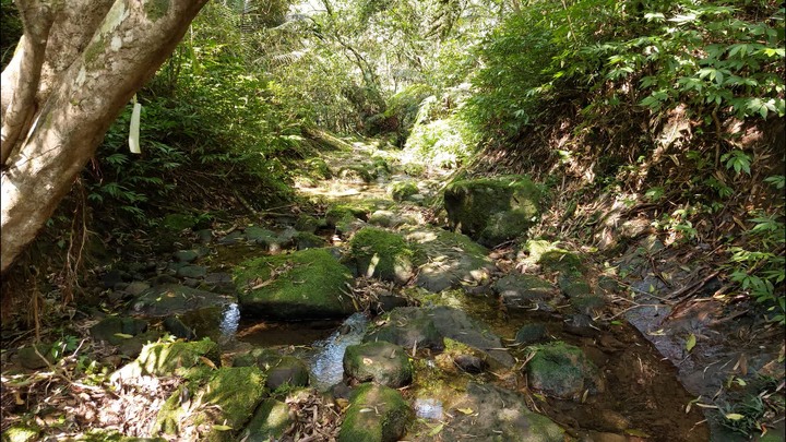 [樂山童盟] [新北平溪] 中央尖-臭頭山-東勢格越嶺步道