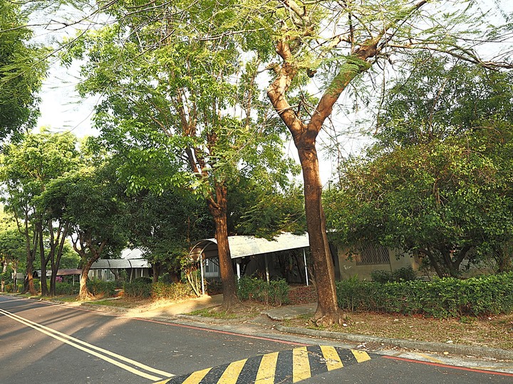 楠梓區 中油宏南宿舍群 — 濃濃歐風小鎮風格，自然與歷史建築混合呈現之世外桃源