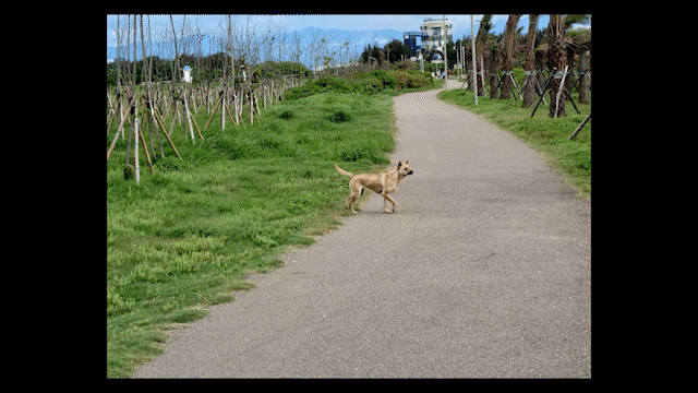 Sony Xperia 1 IV 開箱體驗 | 4K HDR 120FPS錄影、1秒HDR20高速連拍、望遠鏡頭全光學無縫變焦