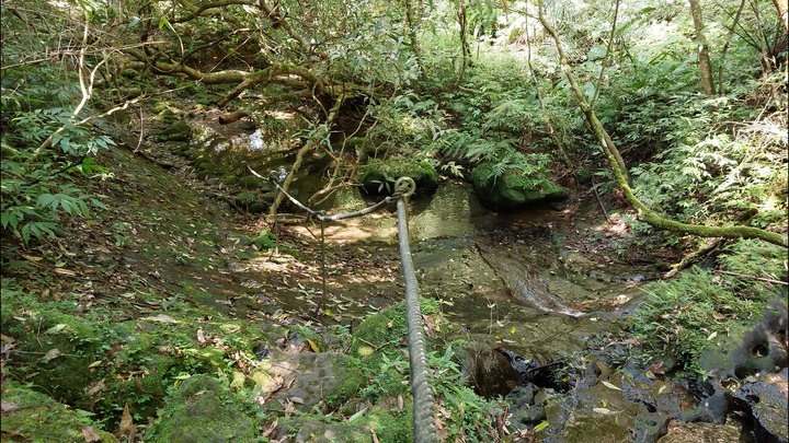 [樂山童盟] [新北平溪] 中央尖-臭頭山-東勢格越嶺步道