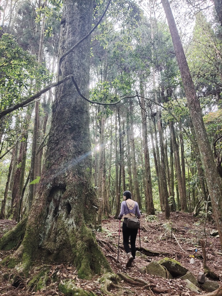 單攻西巒大山剩1.8K撤退