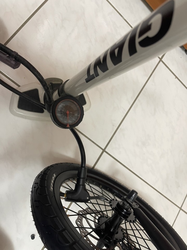 新歡SDPRO shimano 內變三速 16吋 鋁合金折疊車,再會了MINT ....