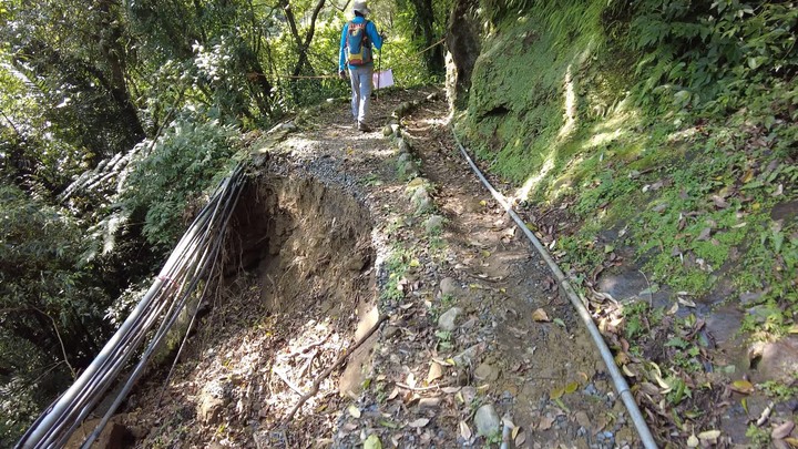 [樂山童盟] [新北平溪] 中央尖-臭頭山-東勢格越嶺步道