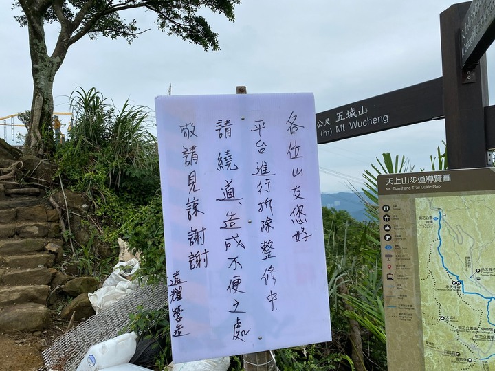 新北土城｜天上山．賞桐花路線推薦，土城山系最高峰的小百岳