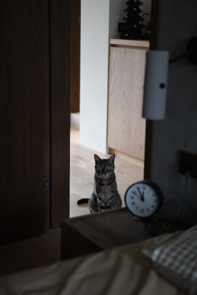 【開箱】一老還有一老老的台北50年老屋大改造