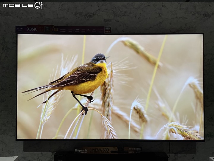 2022年 Sony全新85吋代號85K開箱 (KM-85X85K) 簡易開箱