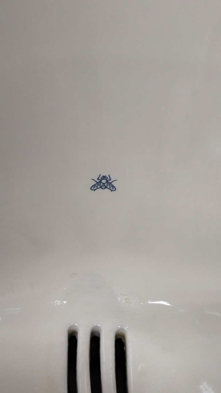 白痴的設計