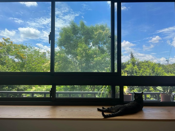 【開箱】一老還有一老老的台北50年老屋大改造
