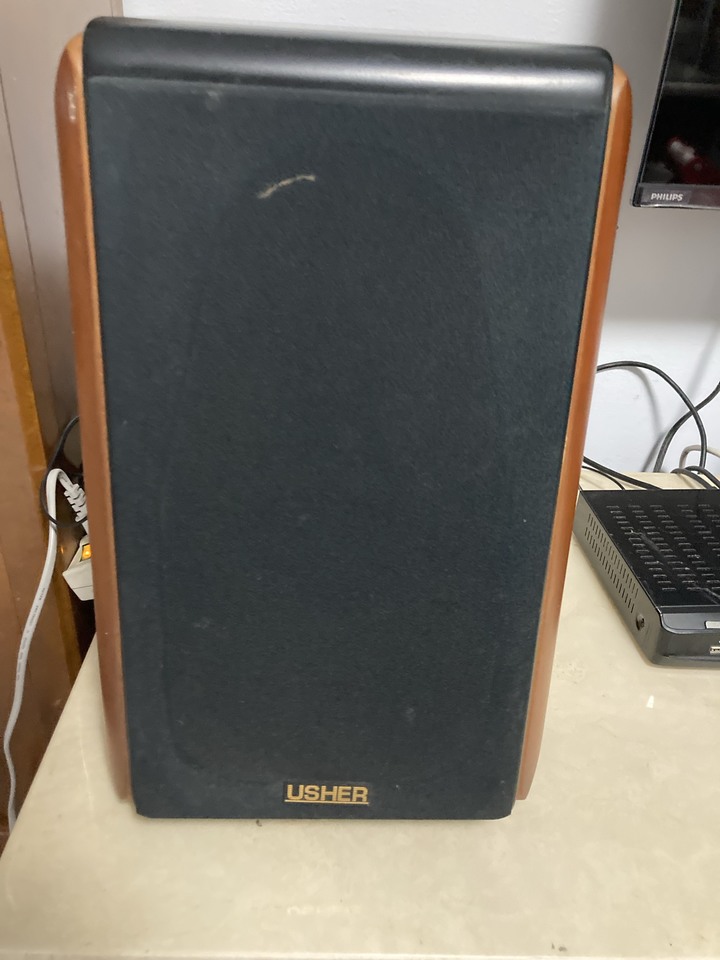 想請教各位專業音響大大，這組USHER 能賣到多少？？