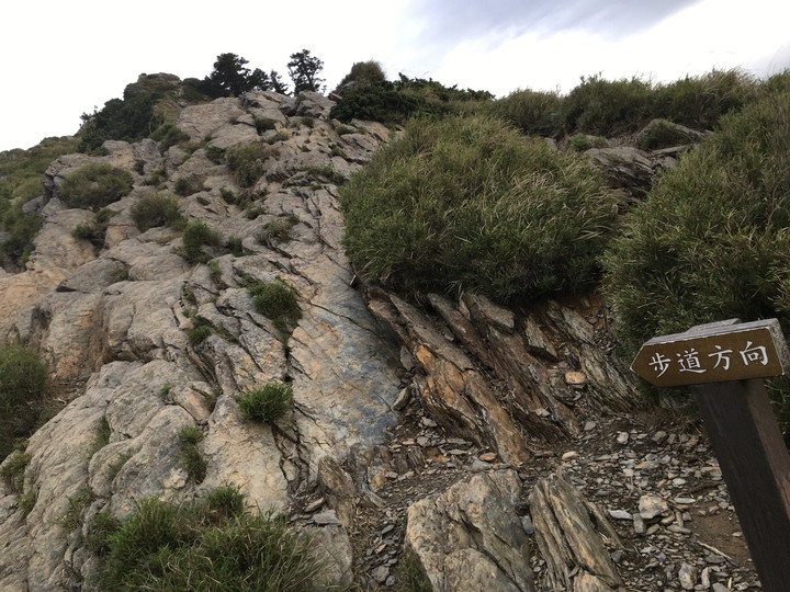 高山生日趴-合歡尖山之旅