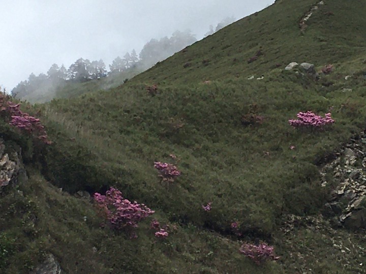 高山生日趴-合歡尖山之旅