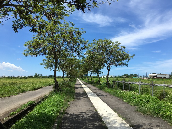 「成績優良」的臺南學甲騎遊記