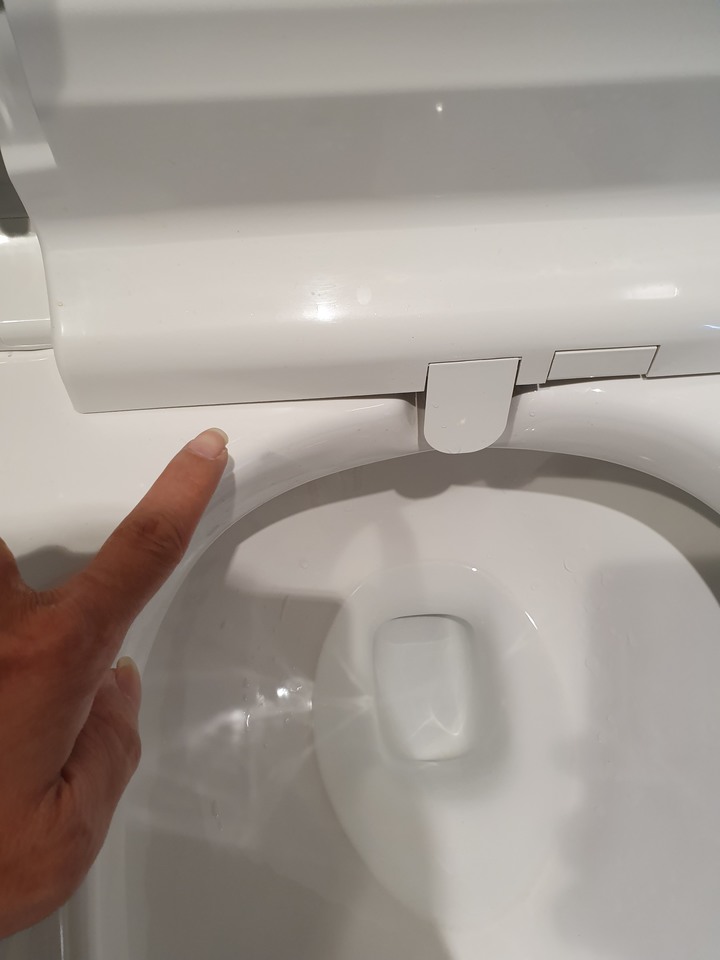 ROCA電腦馬桶清潔