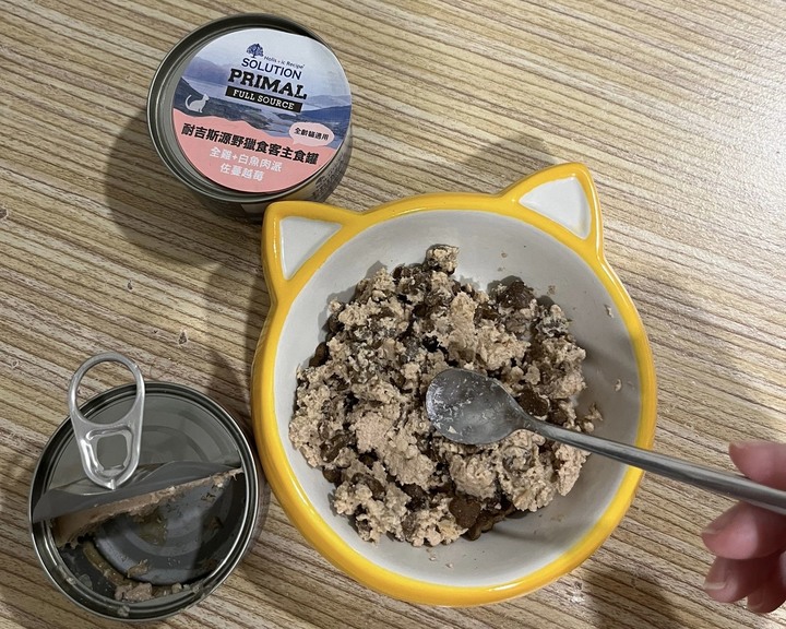 目標是全濕食！小屁貓轉食訣竅求分享