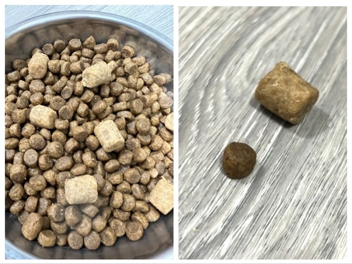 分享自家狗狗的飼料評比心得