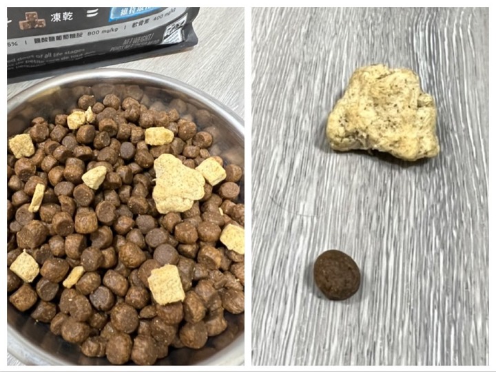 分享自家狗狗的飼料評比心得