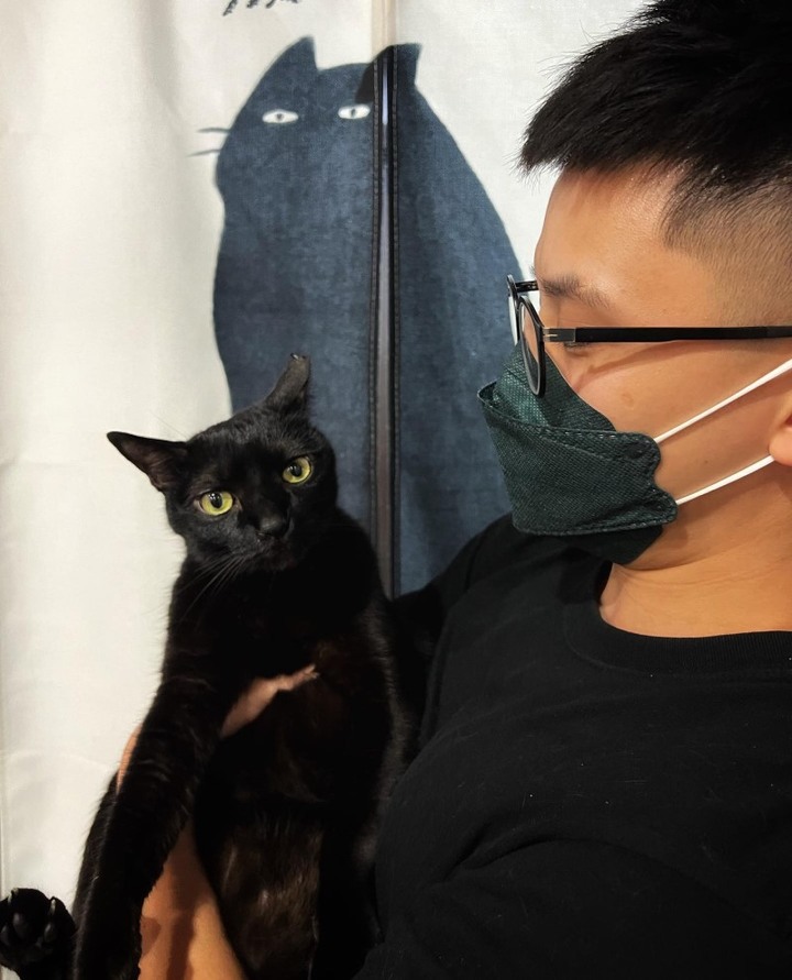 貓控們注意!精選7間台中超療癒貓咪咖啡廳,一同來擼貓吧