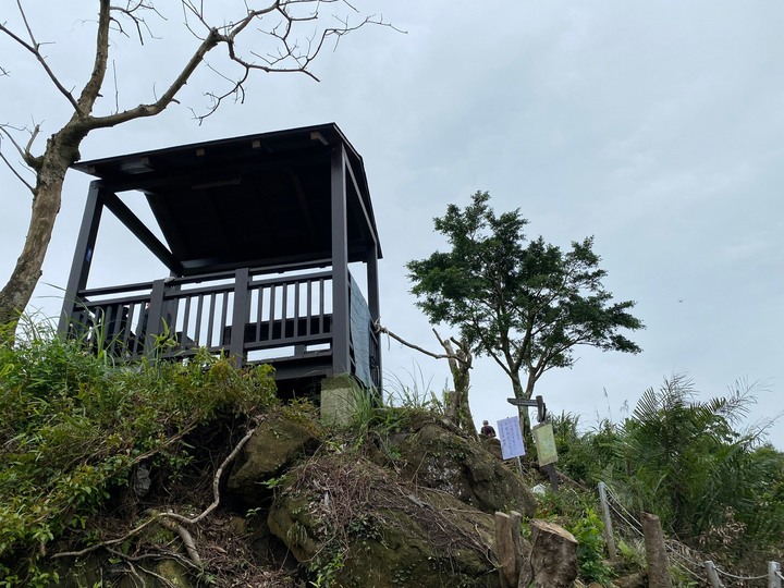 新北土城｜天上山．賞桐花路線推薦，土城山系最高峰的小百岳