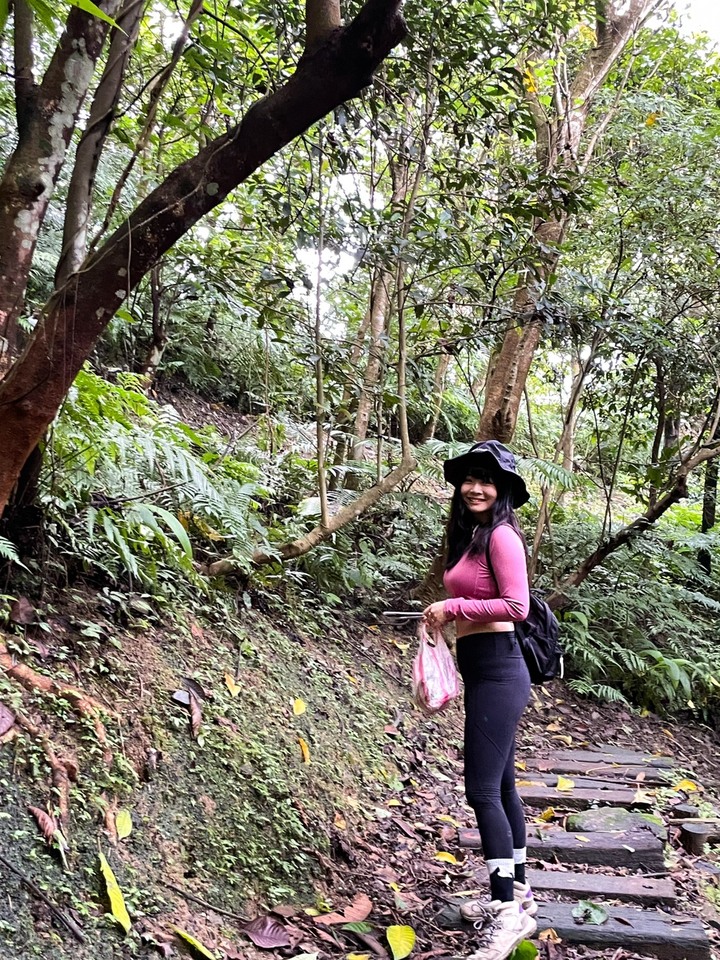 新北土城｜天上山．賞桐花路線推薦，土城山系最高峰的小百岳
