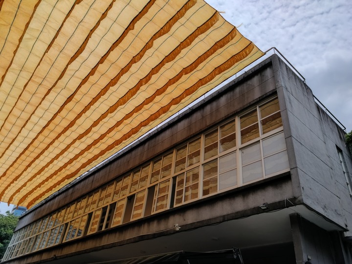 Sony Xperia 10 IV 夜景模式大幅進步，應該不需要裝 GCam 了吧？