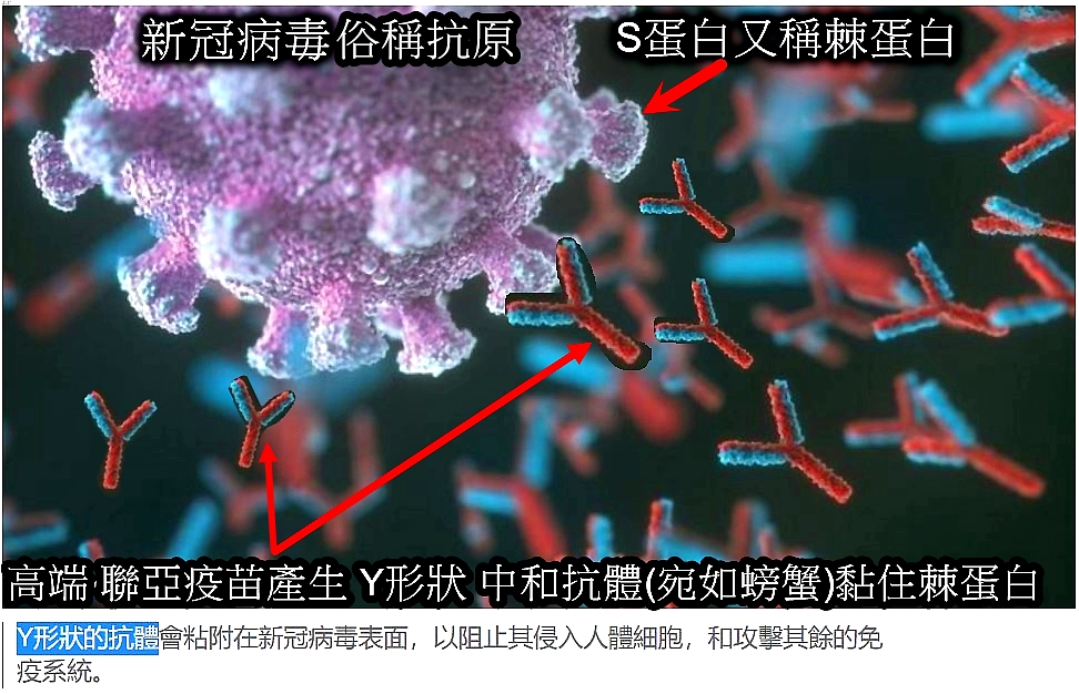 點我看大圖