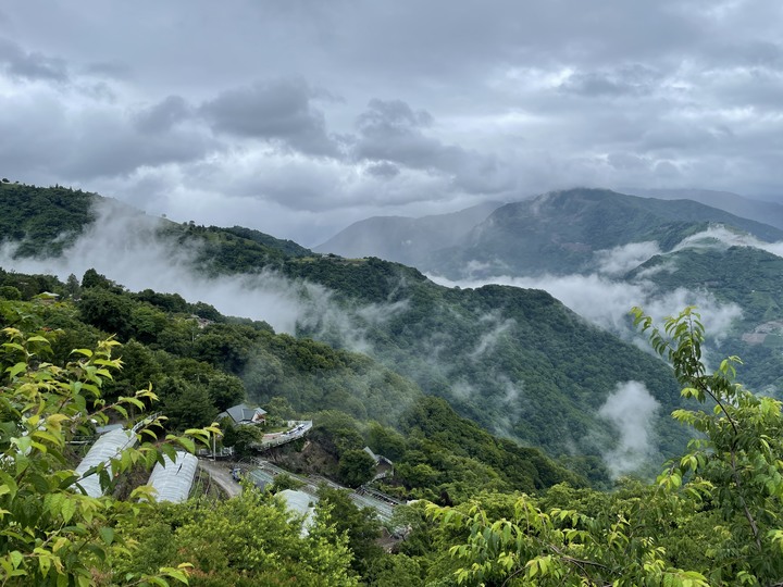 隱藏在清境的甜點店，蒙塔妮手作甜點，盡收美麗的山景～