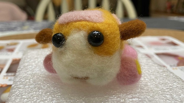 【愛開箱系列之天竺鼠車車聯名腕錶 】 一起開箱全世界第一隻手作羊毛氈與腕錶結合的手錶 | 蕾萌紫