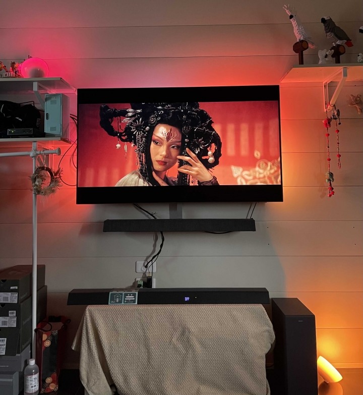 2022上半季 真．機王PHILIPS OLED806