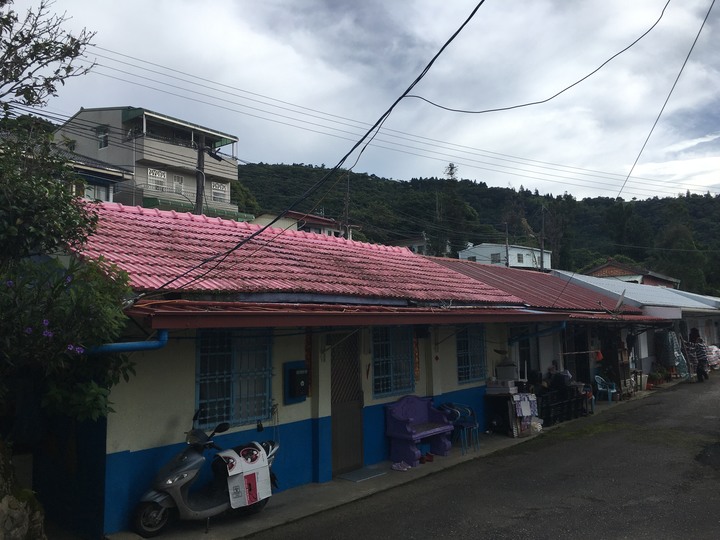 高山生日趴-合歡尖山之旅