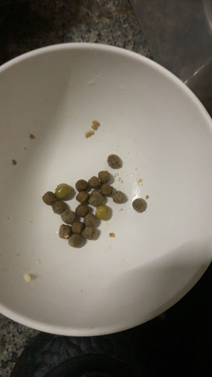 挑食狗狗救星