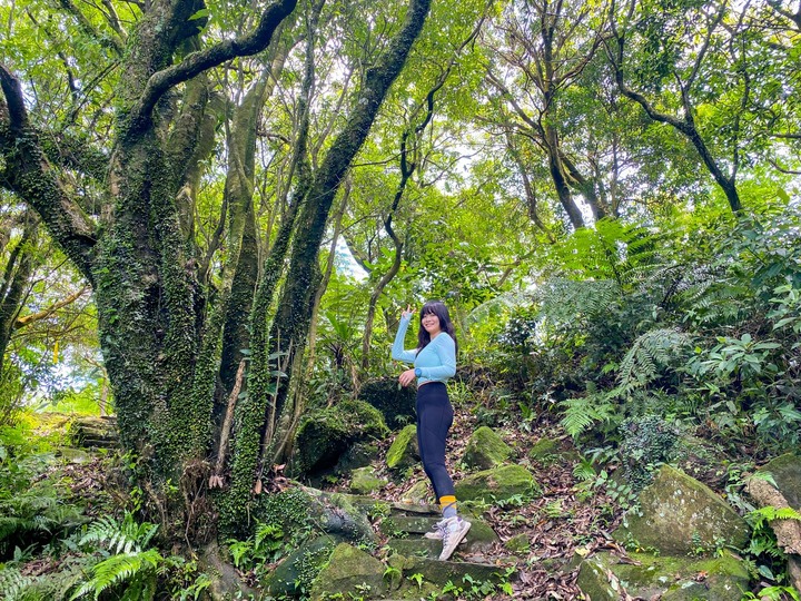 新北汐止｜大尖山．親民的小百岳路線，半小時登頂